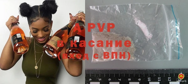 стафф Киреевск
