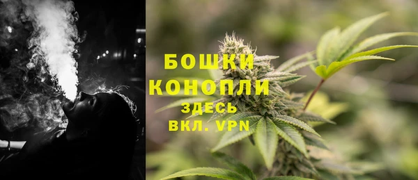 прущие грибы Киренск