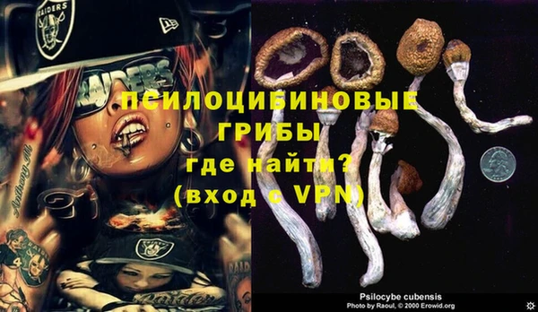 стафф Киреевск