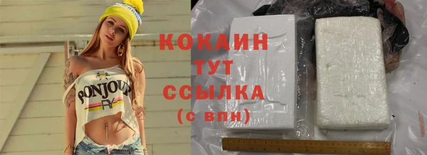 прущие грибы Киренск