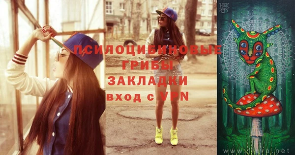стафф Киреевск